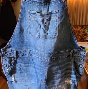 Distressed overall